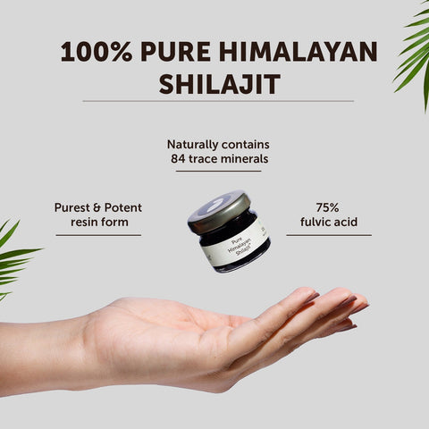 Neuherbs Pure Himalayan Shilajit 15g