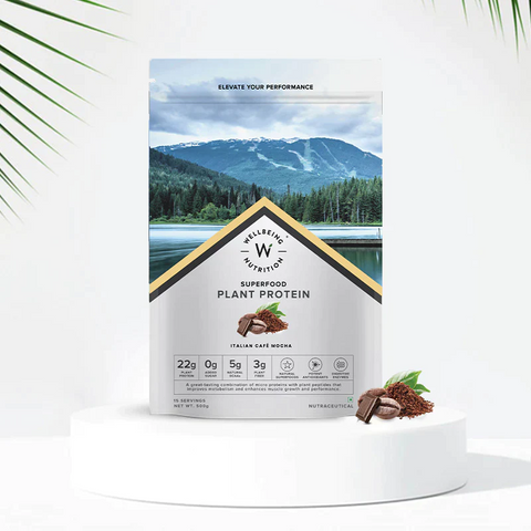 Wellbeing Nutrition Superfood Plant Protein Chocolate Peanut Butter and Italian Cafe Mocha (Buy 1 Get 1)