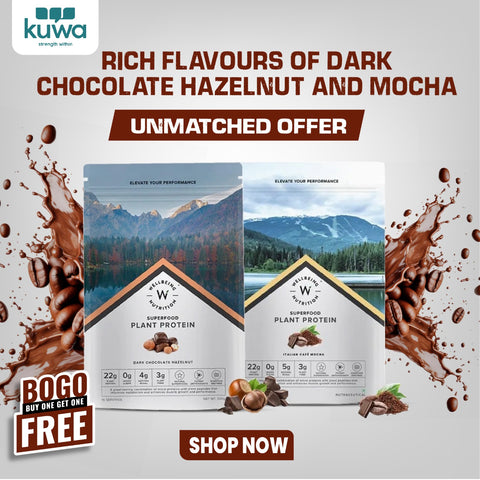 Wellbeing Nutrition Superfood Plant Protein Dark Chocolate Hazelnut and Italian Cafe Mocha (Buy 1 Get 1)