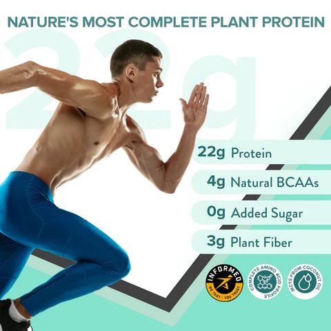 Wellbeing Nutrition Superfood Plant Protein Flavor Combo