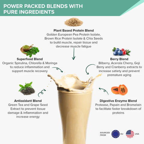 Wellbeing Nutrition Superfood Plant Protein Flavor Combo