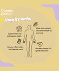 Cosmic Doctor Cholesteam – Food-Based Support for Healthy Cholesterol Levels (Doctor Curated)