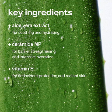 Glow Vegan Face Moisturiser - Aloe Vera Barrier Support, 50ml