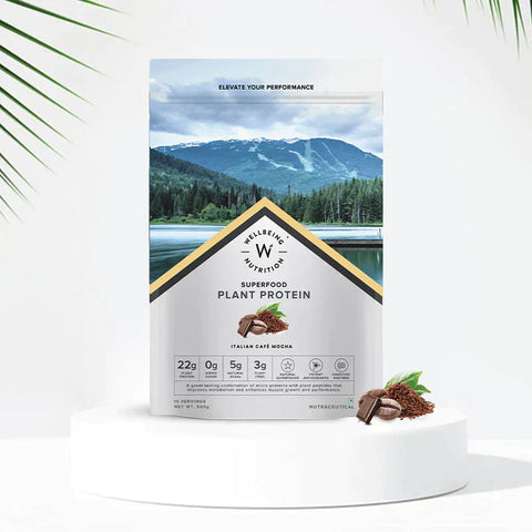 Well Being Nutrition Superfood Plant Protein Italian Cafe Mocha and Daily Fiber Vanilla Berry Flavor