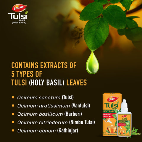 Dabur Tulsi Drops for Immune Support, 30 mL